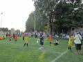 11_Dom_11 054